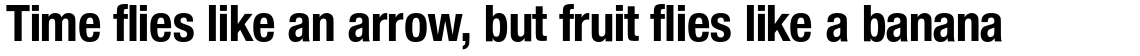 Nimbus Sans Novus Bold Condensed