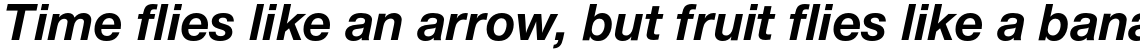 Nimbus Sans Novus Bold Italic