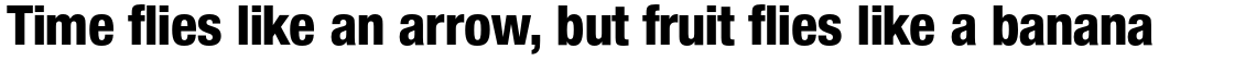 Nimbus Sans Novus Heavy Condensed