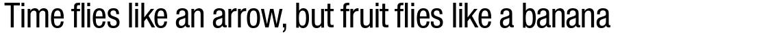 Nimbus Sans Novus Medium Condensed