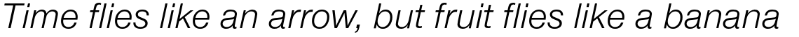 Nimbus Sans Novus Regular Italic