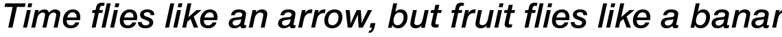 Nimbus Sans Novus Semi Bold Italic