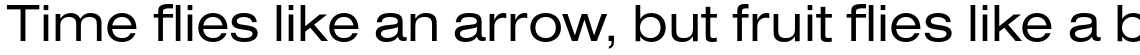 Nimbus Sans Regular Extended