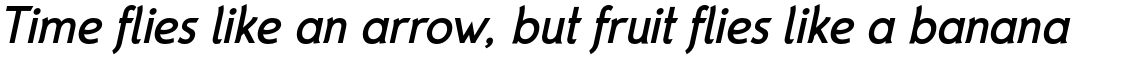 Parametra Bold Italic
