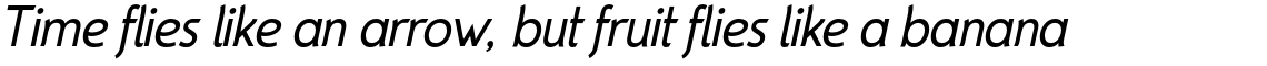 Parametra Italic