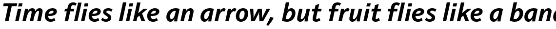 Raldo Bold Italic