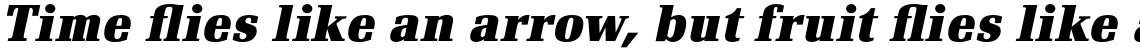 Renault Bold Italic