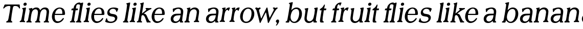 Scenario URW Light Italic