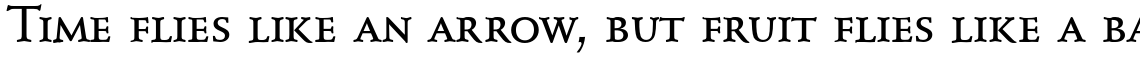 Schneidler Mediaeval Caps Medium