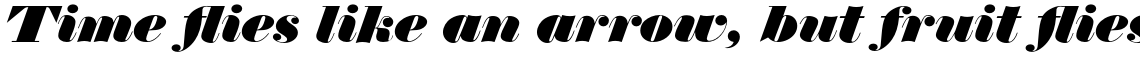Thorowgood Regular Italic
