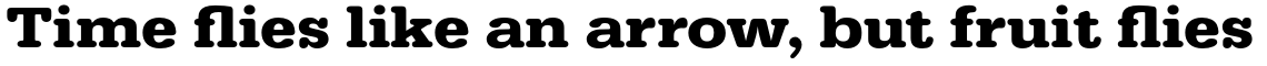 URW Typewriter Bold Extra Wide