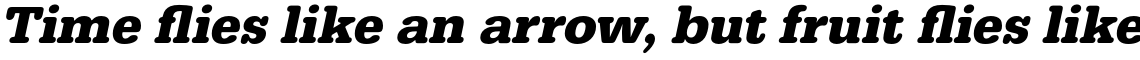 URW Typewriter Bold Oblique