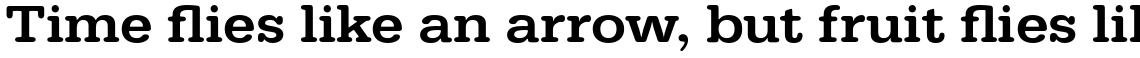 URW Typewriter Medium Extra Wide