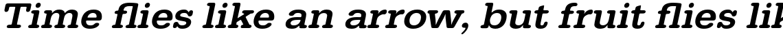 URW Typewriter Medium Extra Wide Oblique