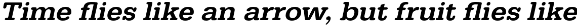 URW Typewriter Medium Wide Oblique