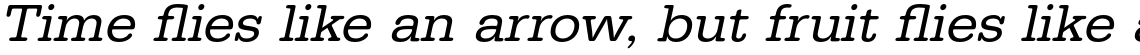 URW Typewriter Regular Wide Oblique