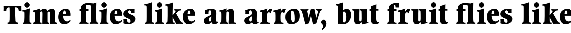 Wordsworth URW Bold