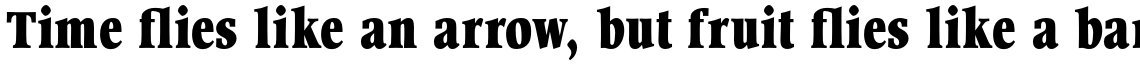 Wordsworth URW Bold Condensed