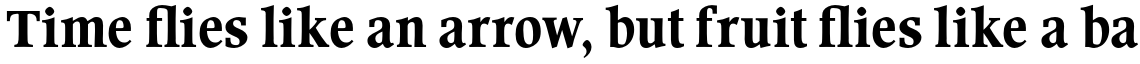 Wordsworth URW Medium