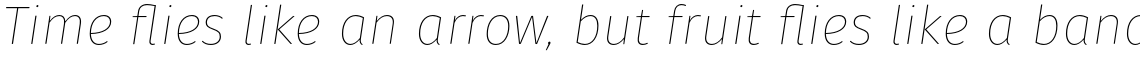 Gardenia Thin Italic