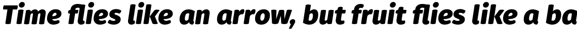Gardenia Black Italic
