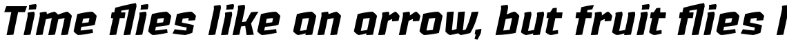 Lupulus Bold Italic