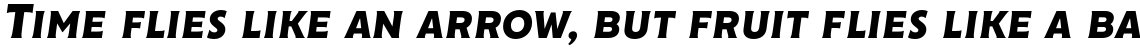 Cenzo Flare Bold Italic