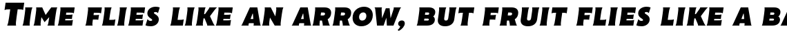 Cenzo Flare Black Italic
