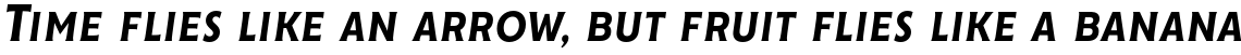 Cenzo Flare Condensed Medium Italic
