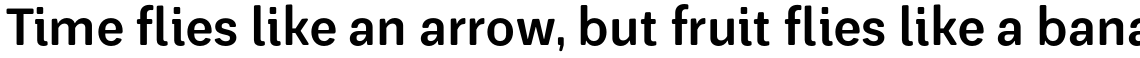 Glatt Pro ExtraBold