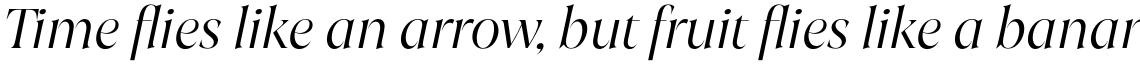 Joane Light Italic