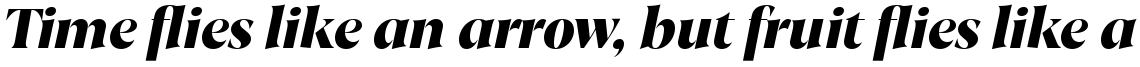 Joane Black Italic