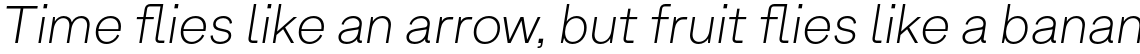 Armin Grotesk Thin Italic