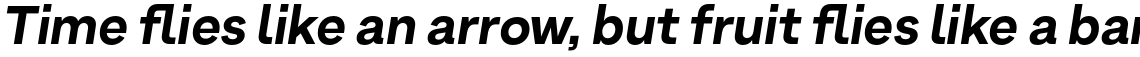 Armin Grotesk UltraBold Italic