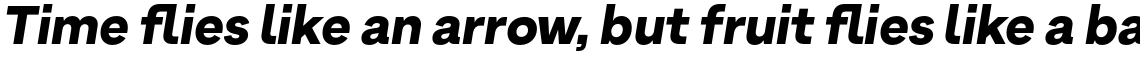 Armin Grotesk Black Italic