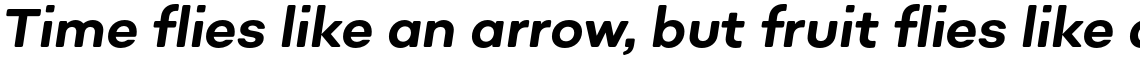 Sonny Vol 2 Bold Italic