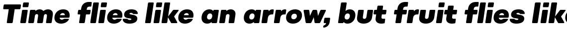Sonny Vol 2 Black Italic
