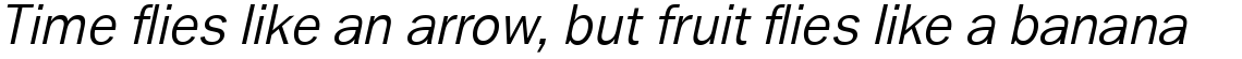 Ryman Gothic Pro Light Italic