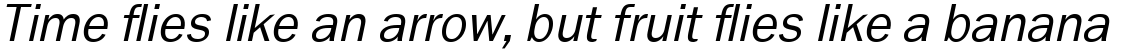 Ryman Gothic Pro Book Italic