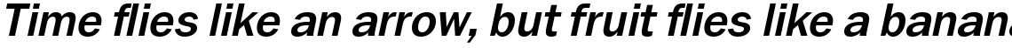 Ryman Gothic Pro Bold Italic