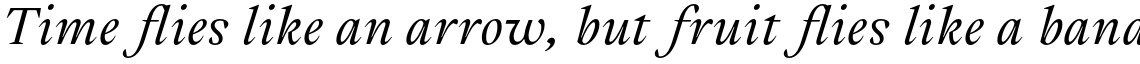 Cassius Regular Italic