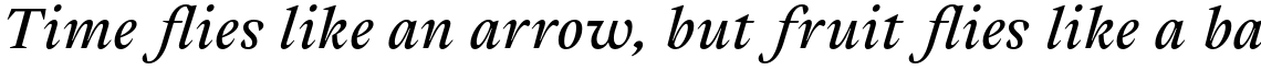 Cassius Bold Italic
