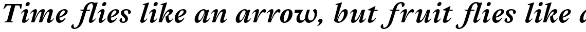 Cassius Black Italic