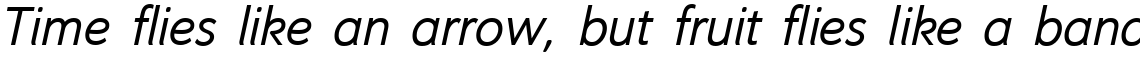 Oslo Italic