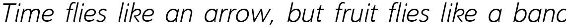 Oslo Light Italic