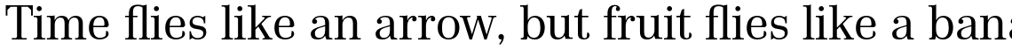 Chamber Family (2 typefaces)