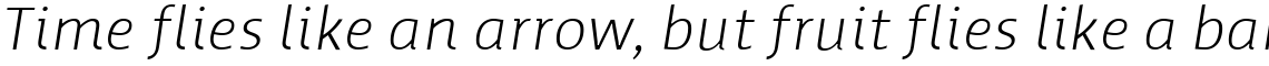Werk Light Italic