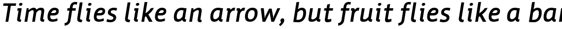 Werk Bold Italic