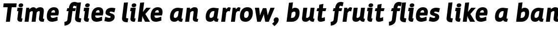 Werk Black Italic