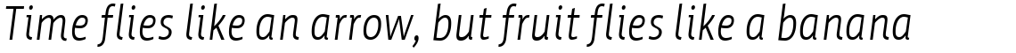 Werk Condensed Regular Italic
